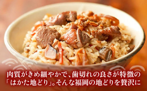はかた地どり飯の素(米2合用)